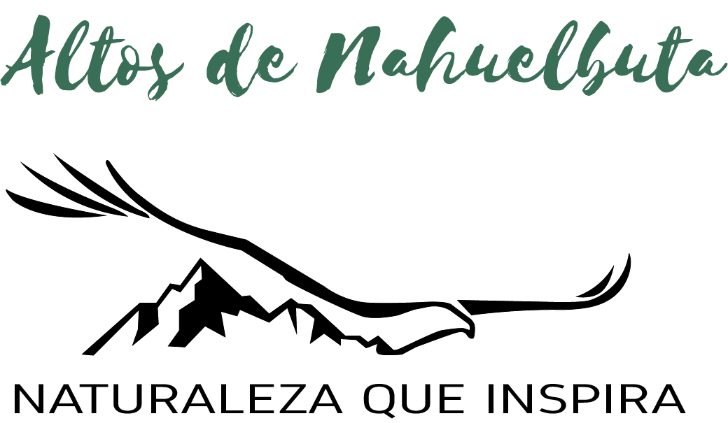 logo alto nahuelbuta